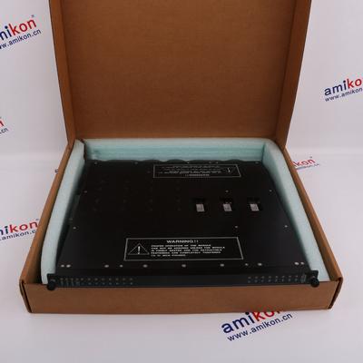 TRICONEX 3701 Distributed Control System (DCS)  | sales2@amikon.cn 